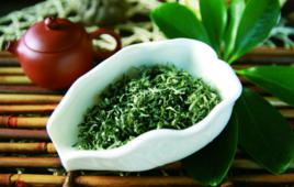 碧螺春[茶葉種類、中國十大名茶之一]
