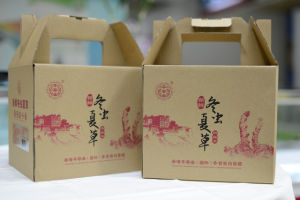 香港千壽堂新鮮冬蟲夏草