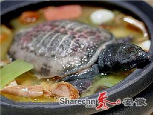 （圖）清燉馬蹄鱉