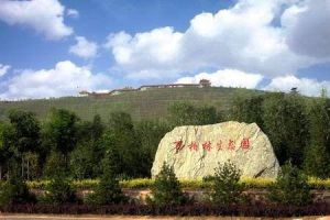 萬柏林生態園 萬柏林生態園