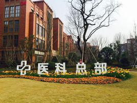 成都國際醫學城