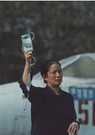 二十四城記[2008年賈樟柯執導電影]