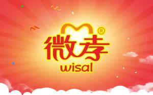 深圳微孝居家養老服務有限公司