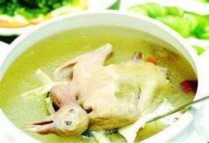 玉山鴿肉湯 玉山鴿肉湯
