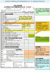 企業納稅申報 企業納稅申報