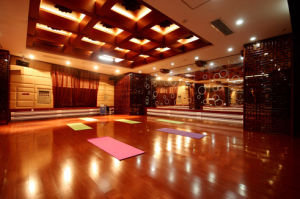 高溫瑜伽房 高溫瑜伽房