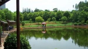 青格里度假村 青格里度假村