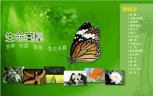 虛擬博物館 虛擬博物館