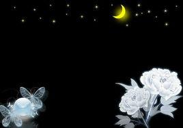 圖片日誌 圖片日誌