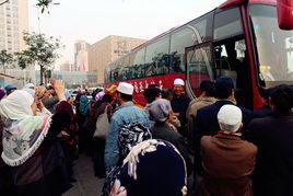 華北回民朝覲團 華北回民朝覲團