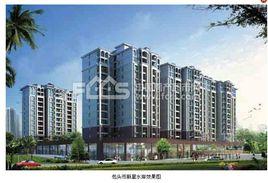 新星水岸花園 新星水岸花園