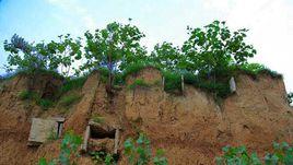 羊山漢墓群 羊山漢墓群