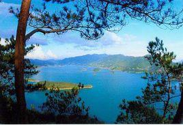 信宜八景 信宜八景