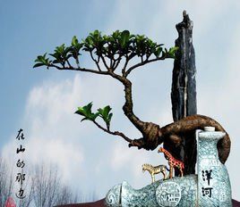 在山的那邊 在山的那邊