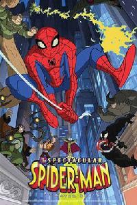 神奇蜘蛛俠動畫版 神奇蜘蛛俠動畫版