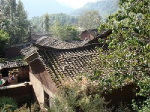 茶花箐村[雲南省曲靖會澤縣老廠鄉茶花箐村委會]