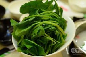 紹興尖葉菠菜 紹興尖葉菠菜