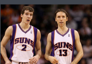 德拉季奇的接納什