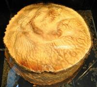 扁鵲紀念館太歲