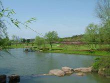 徐州國家森林公園