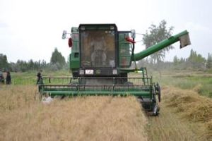 皮拉勒鄉 皮拉勒鄉