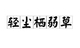 輕塵棲弱草 輕塵棲弱草