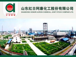 山東紅日阿康化工股份有限公司 山東紅日阿康化工股份有限公司
