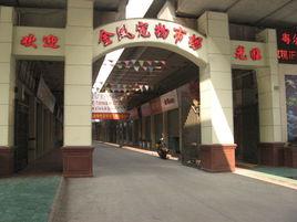 金鳳寵物 金鳳寵物