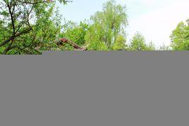 永康森林公園 永康森林公園