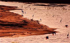 東灶港鎮 東灶港鎮
