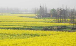 霸城寺村 霸城寺村