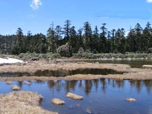 中甸千湖山 中甸千湖山