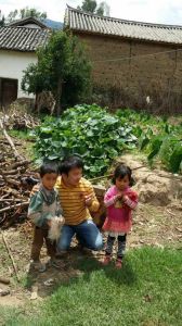 王子清慈善活動