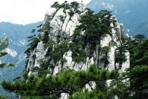 大別山國家森林公園 大別山國家森林公園