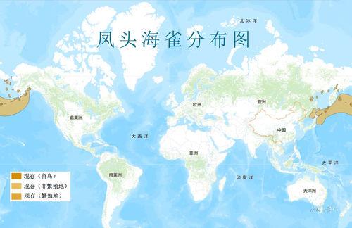鳳頭海雀分布圖