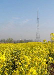 馬頰河森林旅遊度假村