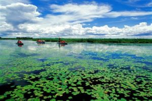 七星河自然保護區