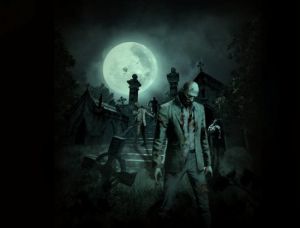 皮膚識別掃瞄器 皮膚識別掃瞄器