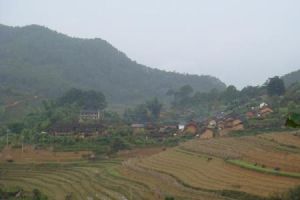 南板自然村 南板自然村