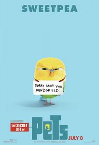 寵物的秘密生活[美國電影]