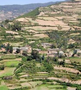 黃力樹村 黃力樹村