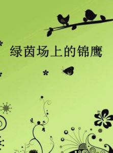 綠茵場上的錦鷹 綠茵場上的錦鷹