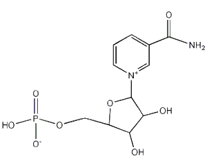 煙醯胺單核苷酸 煙醯胺單核苷酸