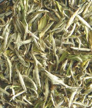 圖1 政和白茶銀針