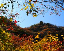 雲丘山五大奇觀