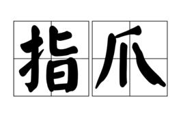 指爪 指爪