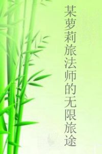 某蘿莉旅法師的無限旅途