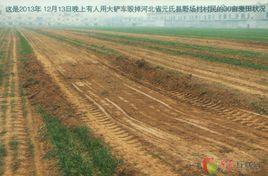 野場村[河南省新鄉市獲嘉縣馮莊鎮下轄村]