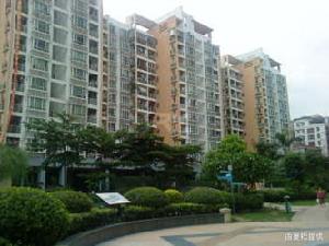 金運花園 金運花園