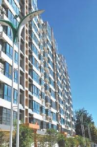 羅村[山東省淄博市淄川區羅村鎮]